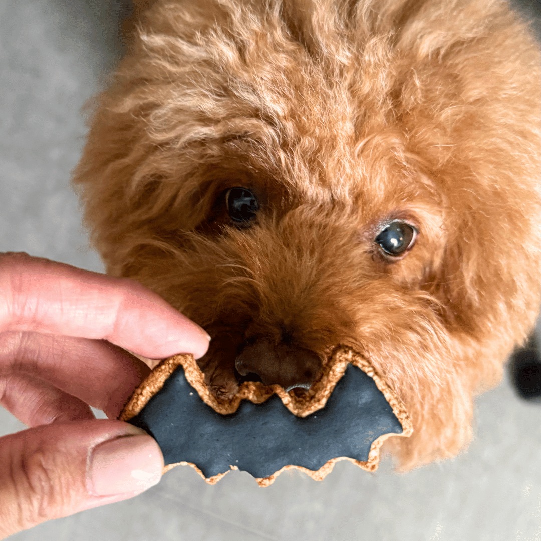 Halloween: Bat Dog Cookie