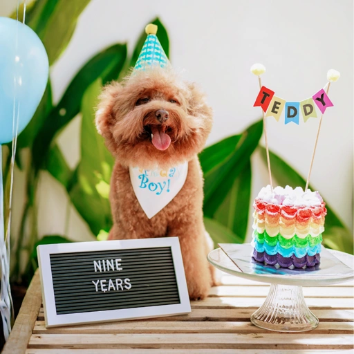Image of Barkday Cake - Pawsome (Custom)
