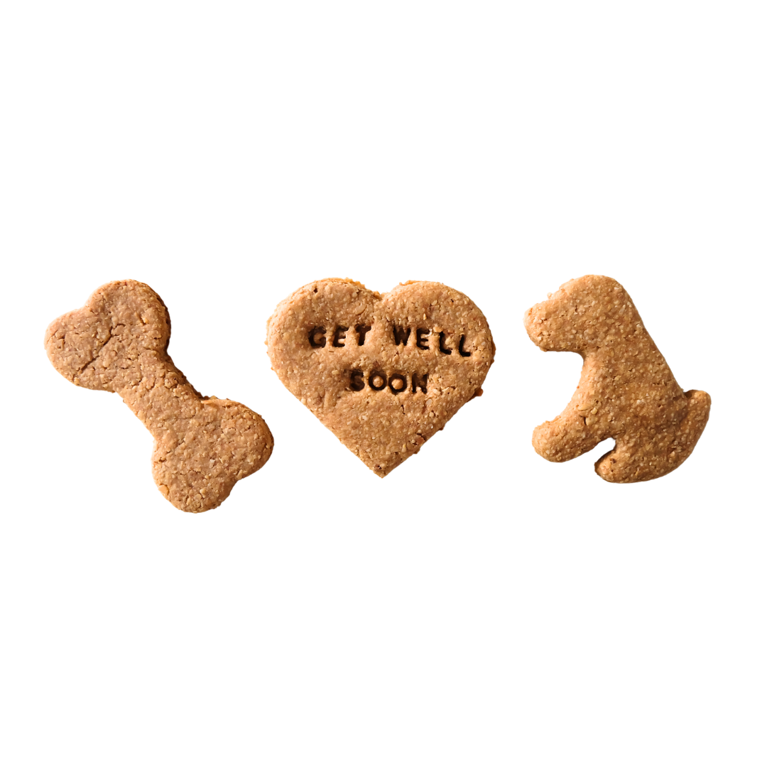 Doggy Care Package (Get Well Soon)