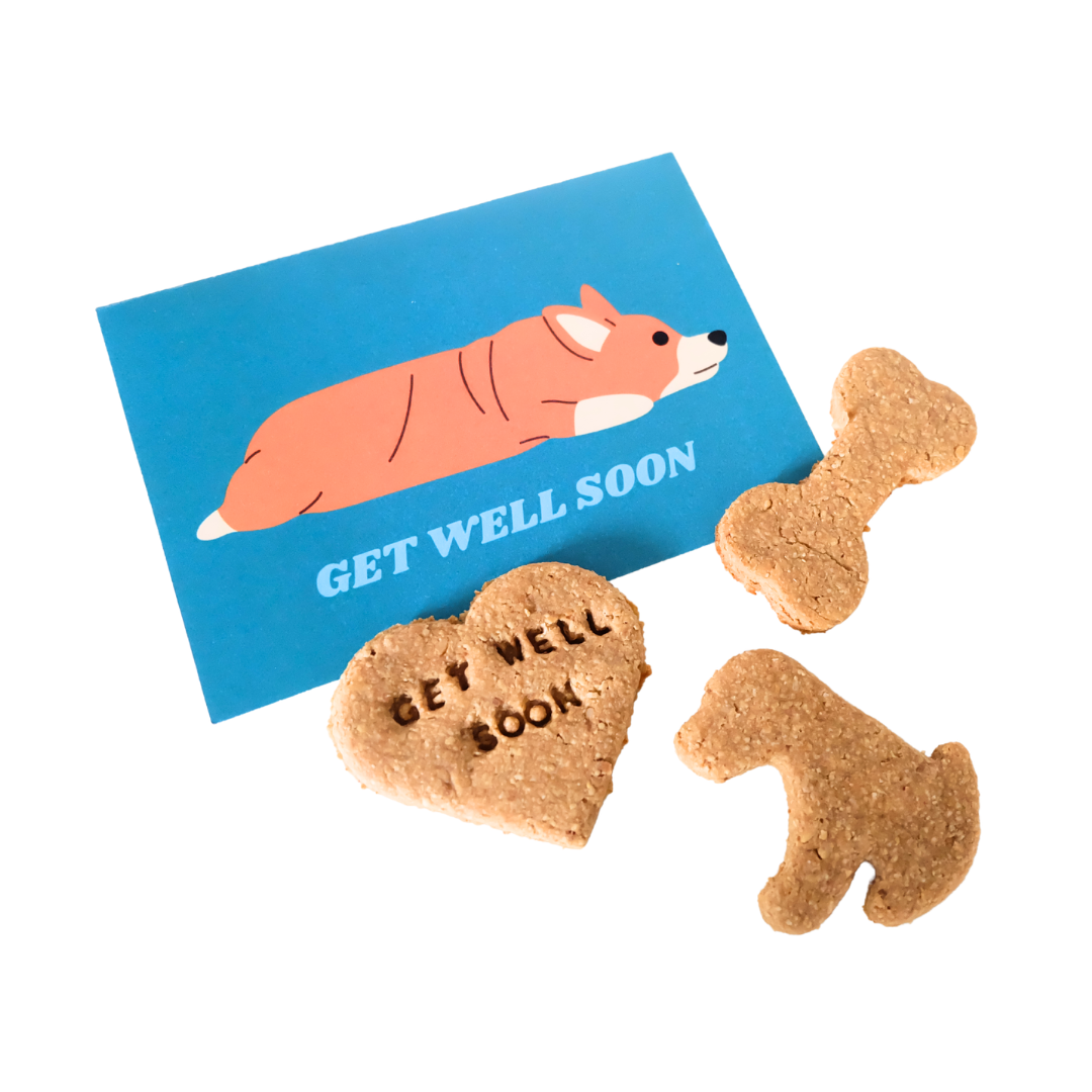 Doggy Care Package (Get Well Soon)