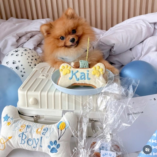 Image of Giant Bone Cookie (Custom)