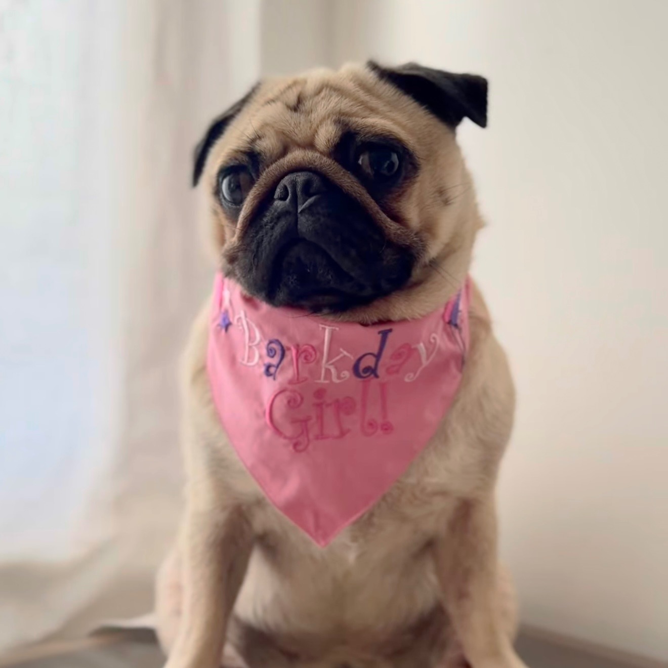 Bandana - Embroidery