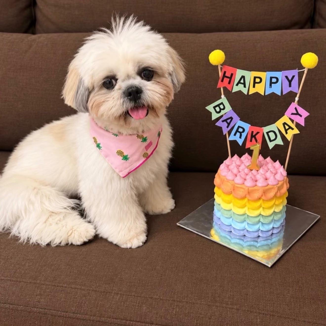 Barkday Cake - Pawsome