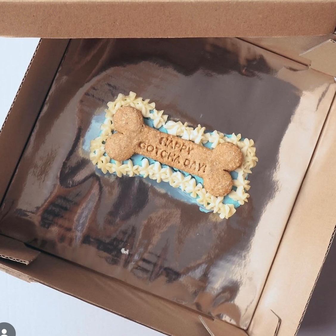 Bone Mini Dog Cake
