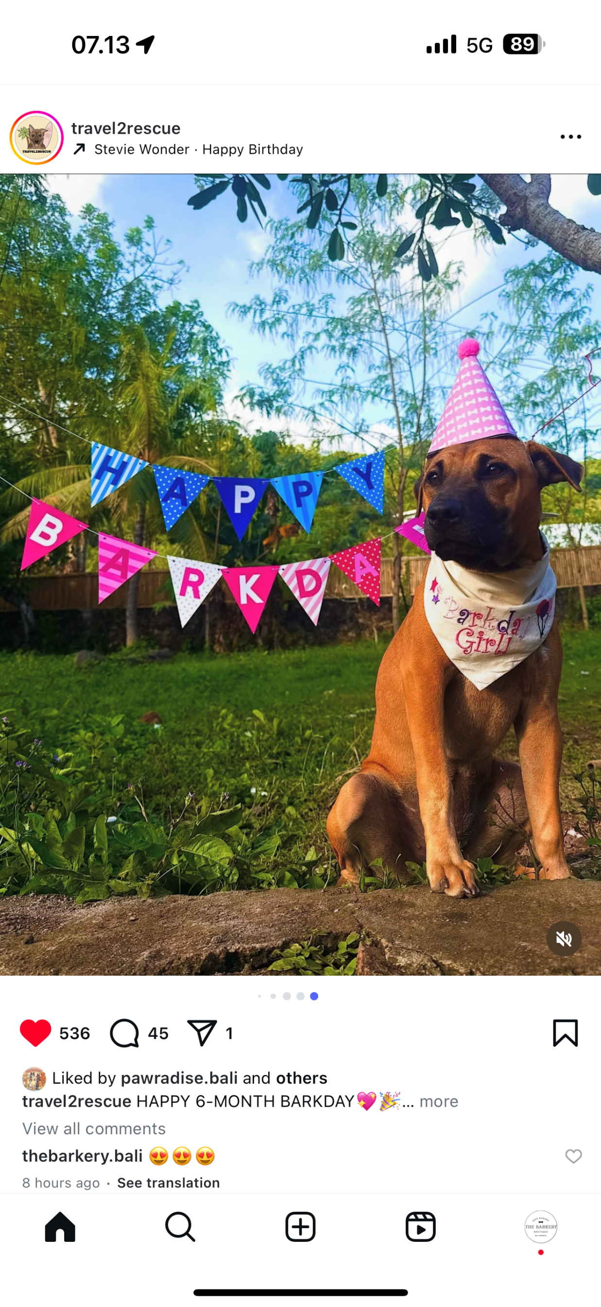 Bunting Flag
