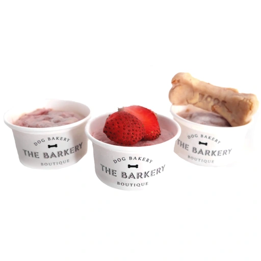Image of Doggy Ice Cream