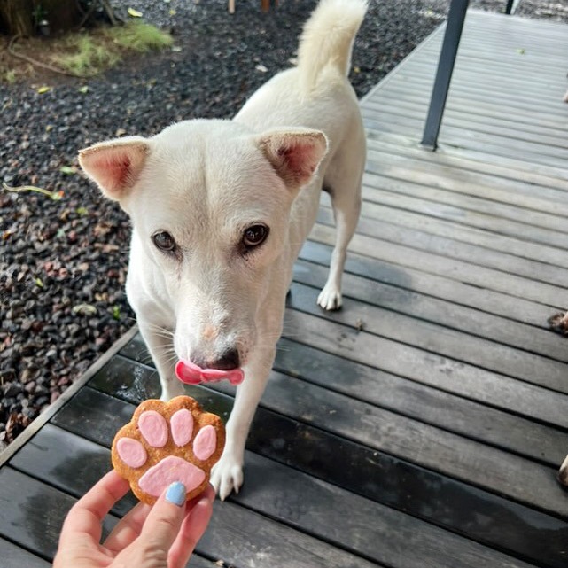 Dog Cookies