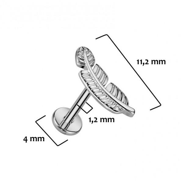 Feather Flatback - Titanium
