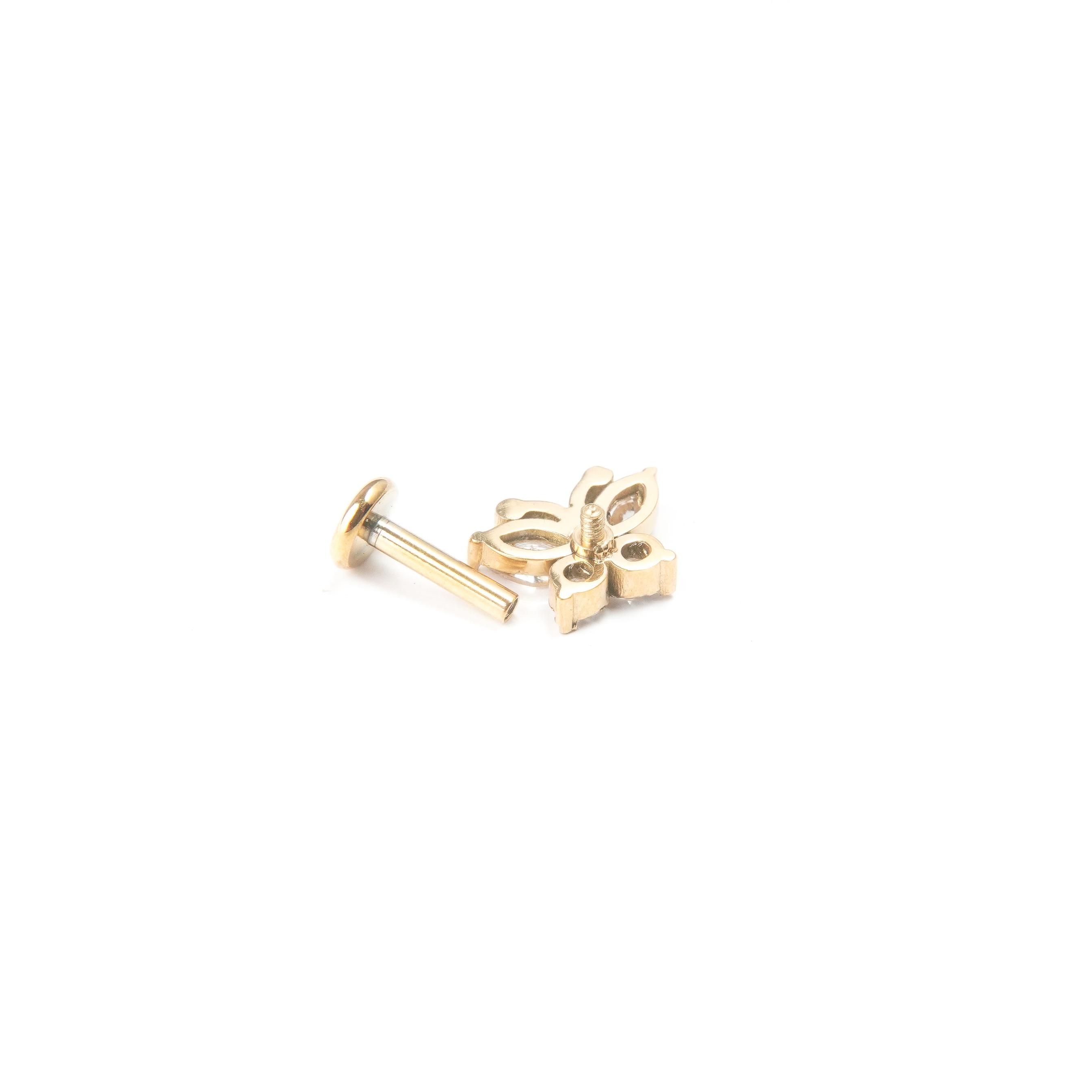 Butterfly Luxe