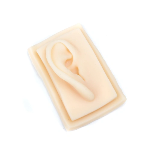 Image of Silicone Ear Model - Tools