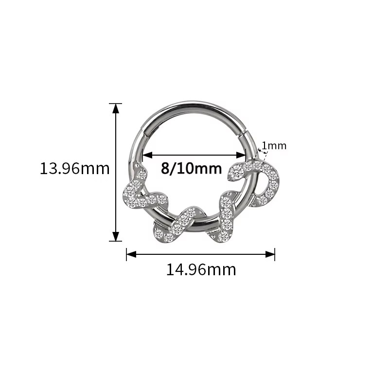 Crystal Phyton Ring - Titanium