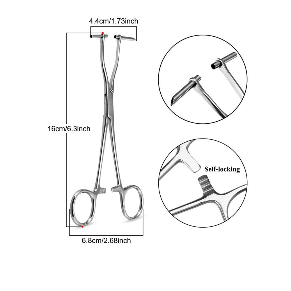 Septum Forceps Collection - Tools