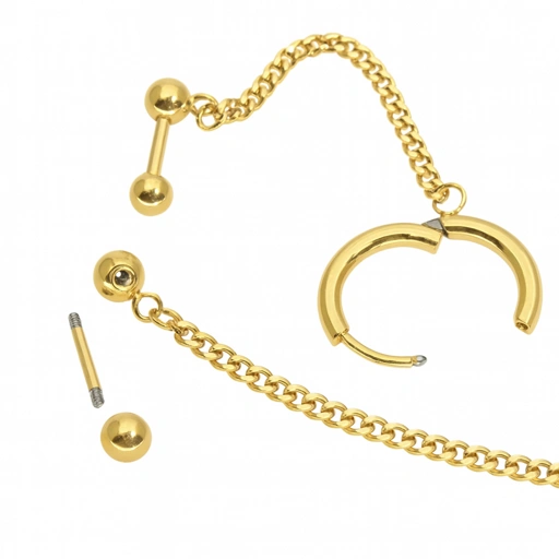 Image of Hoop Ring & Cartilage Barbell