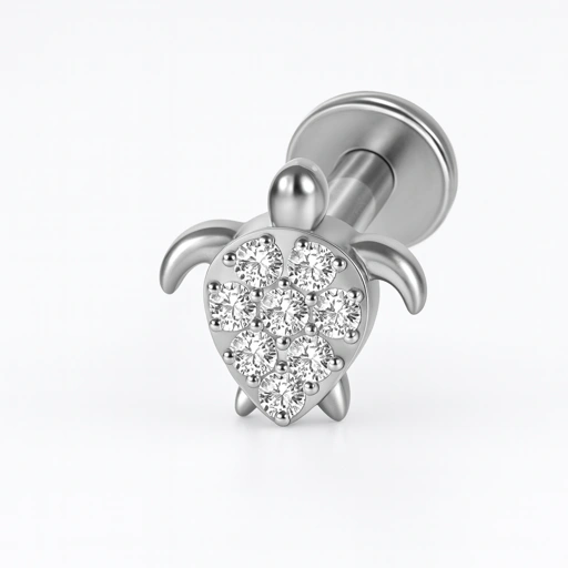 Image of Tortoise - Titanium