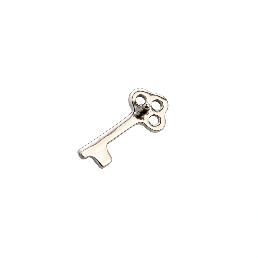 Vintage Key (just Top) - Titanium