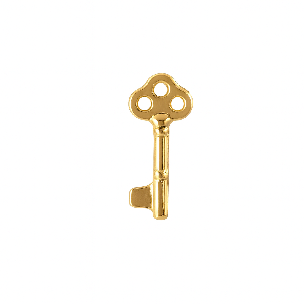 Vintage Key (just Top) - Titanium