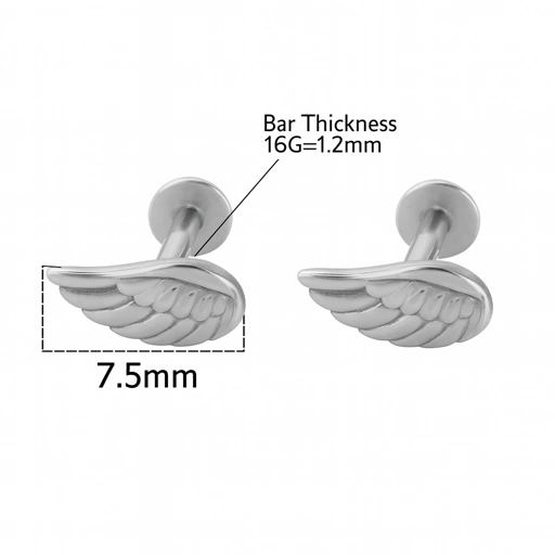 Image of Angel Wing Feather - Titanium