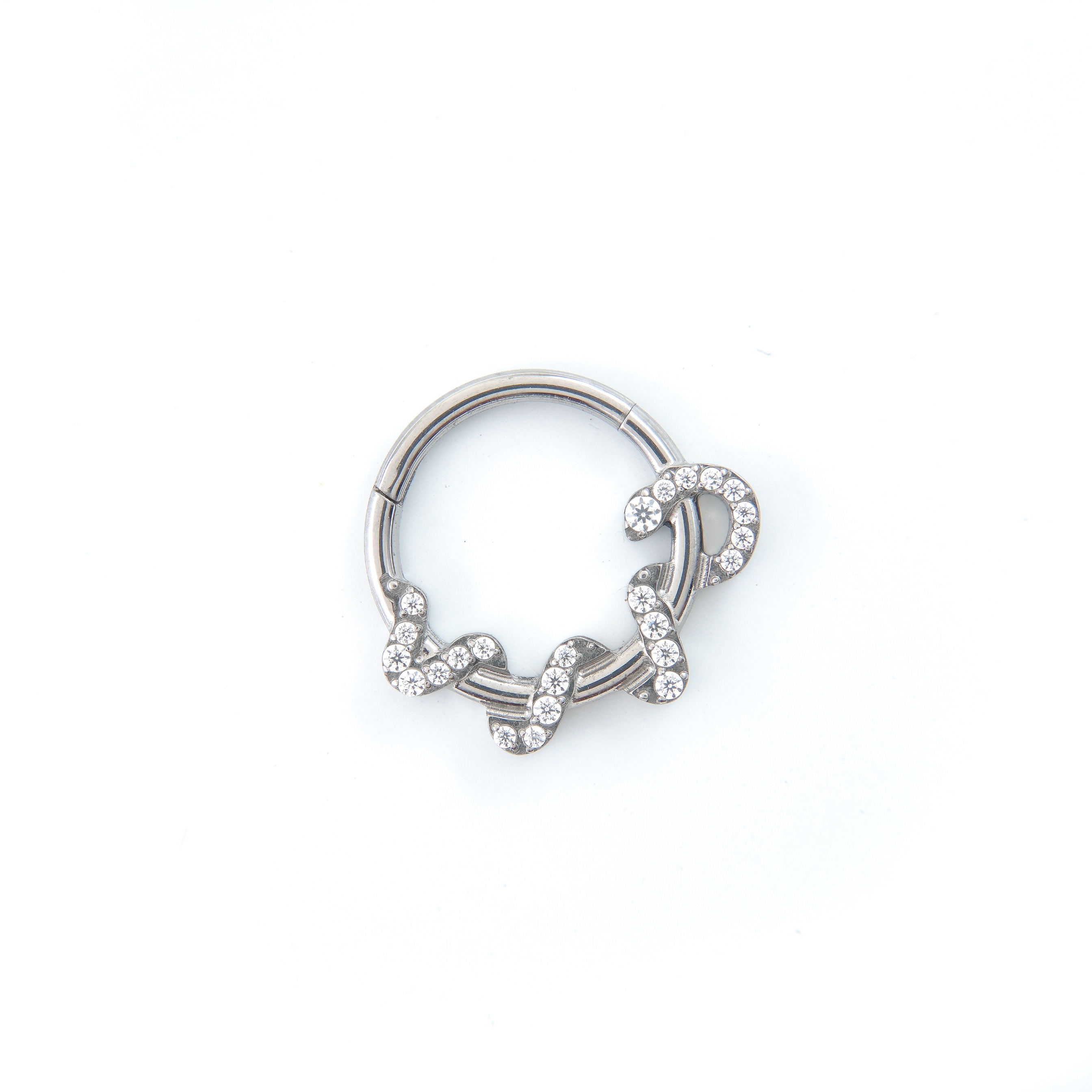 Crystal Phyton Ring - Titanium