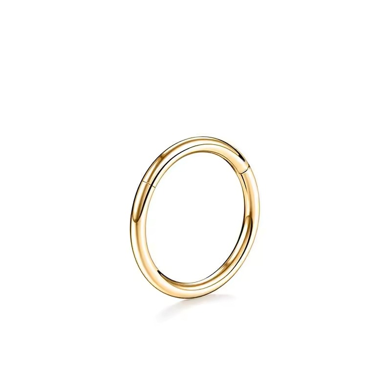 Hinged Segment Ring - Titanium