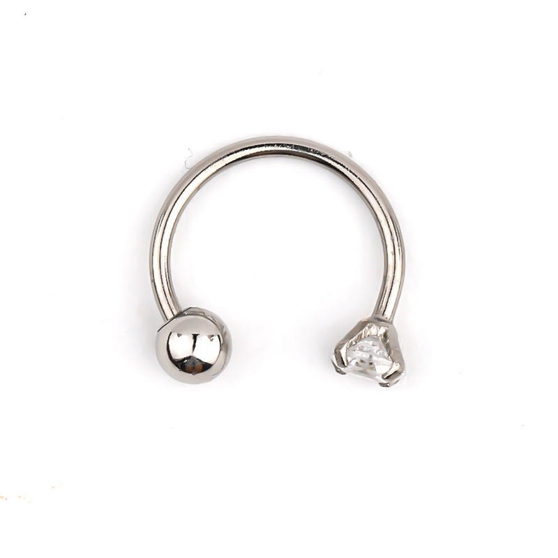 Lustrous Horseshoe - Titanium