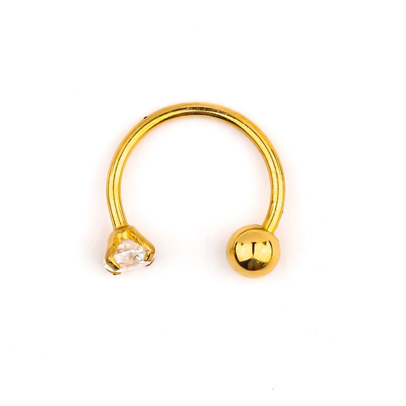 Lustrous Horseshoe - Titanium