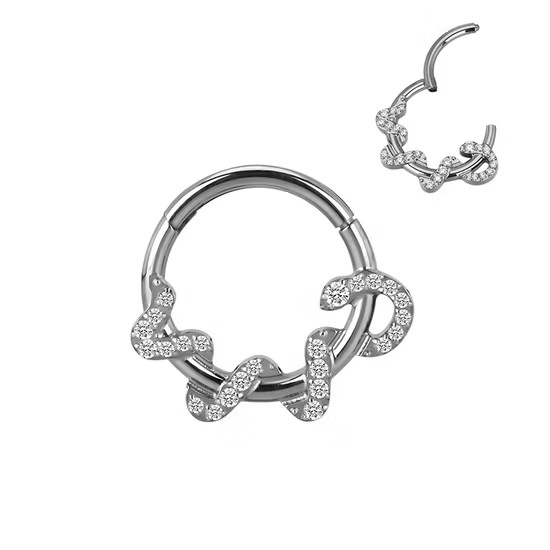 Crystal Phyton Ring - Titanium
