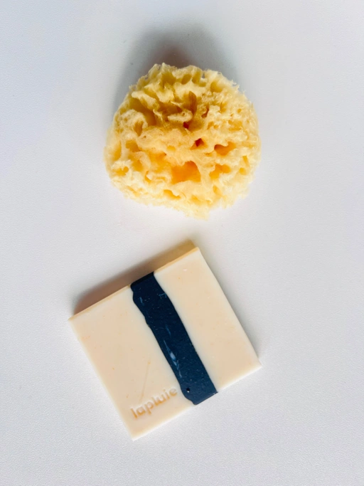 Image of Natural Sea Sponge 