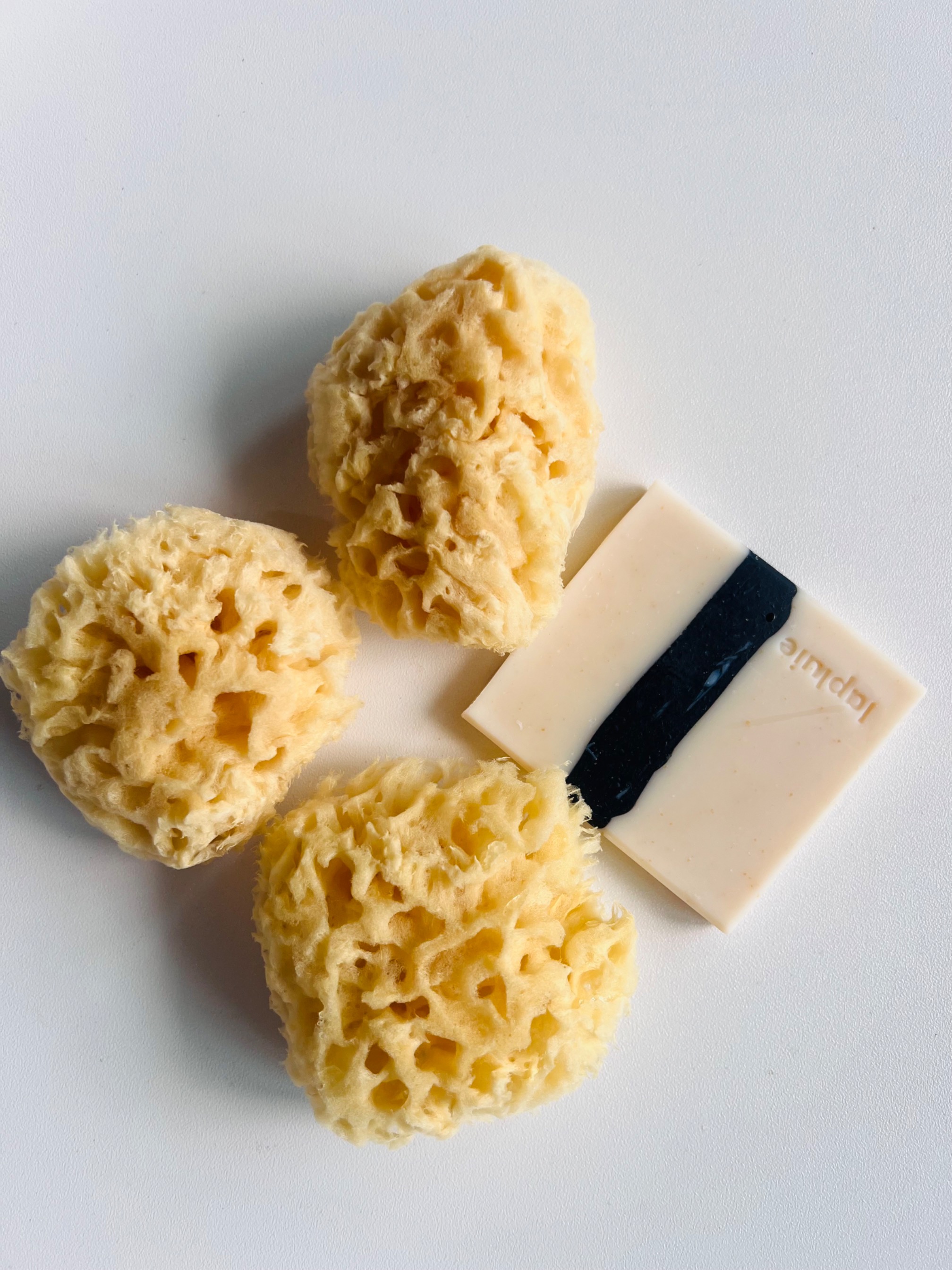 Natural Sea Sponge