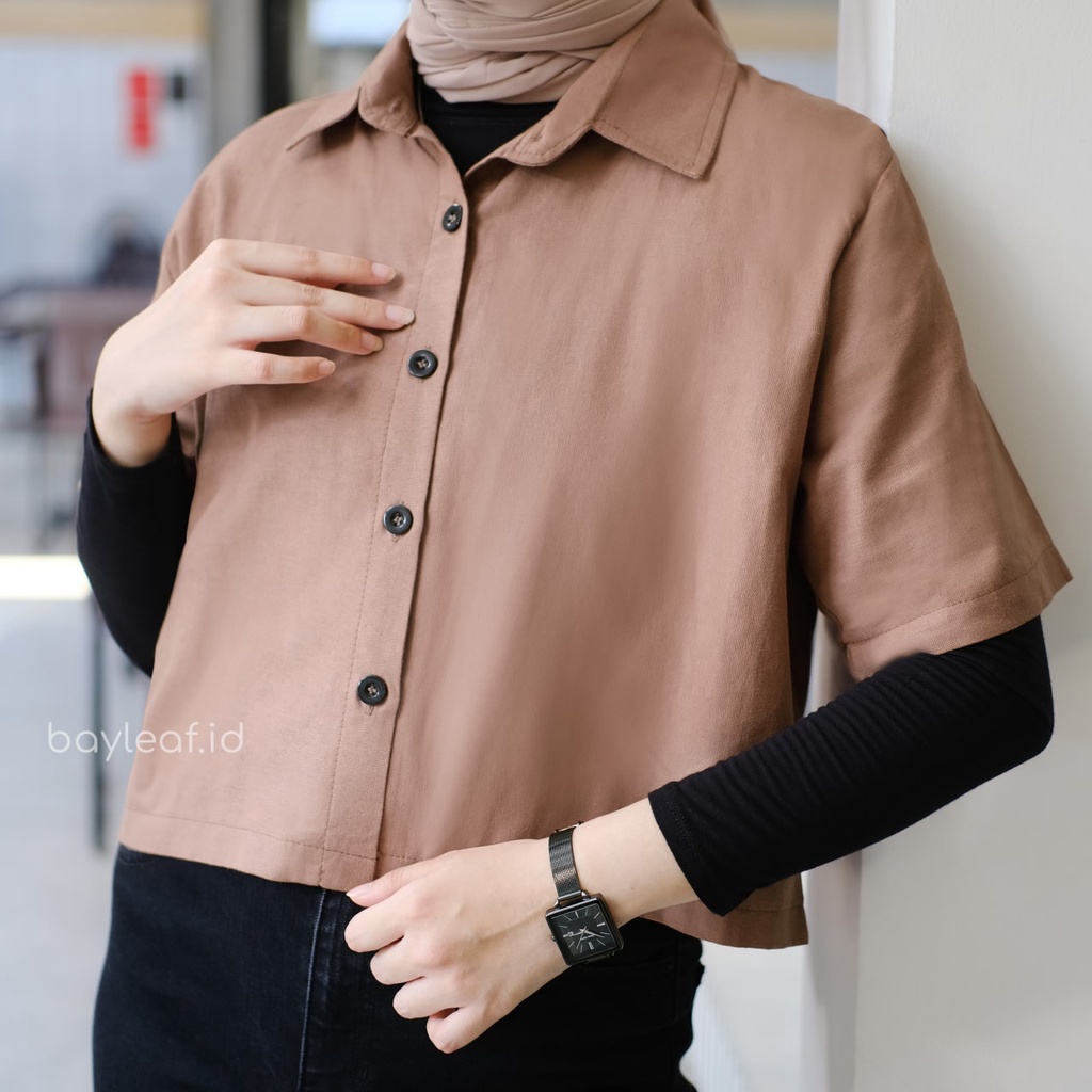 Danilla Crop Shirt