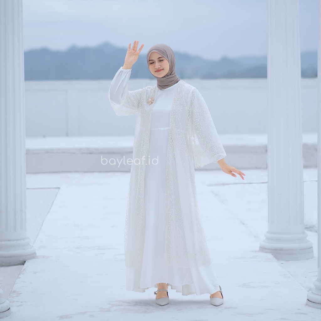 Ionic Outer