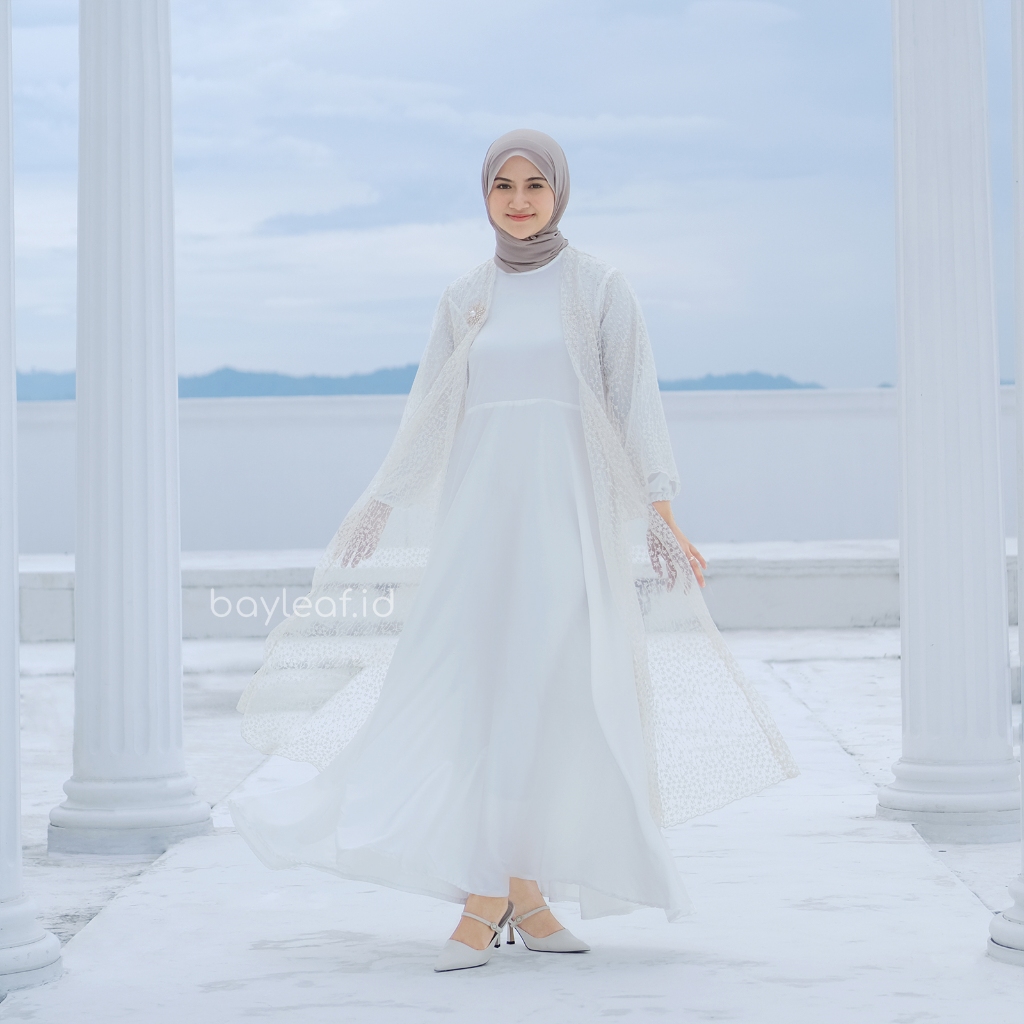Ionic Outer