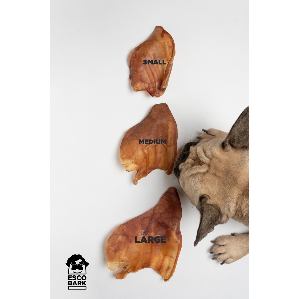 Whole PORK Ear