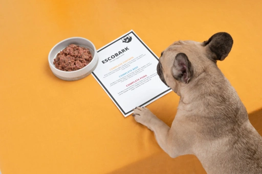 Image of Ongkos Kirim