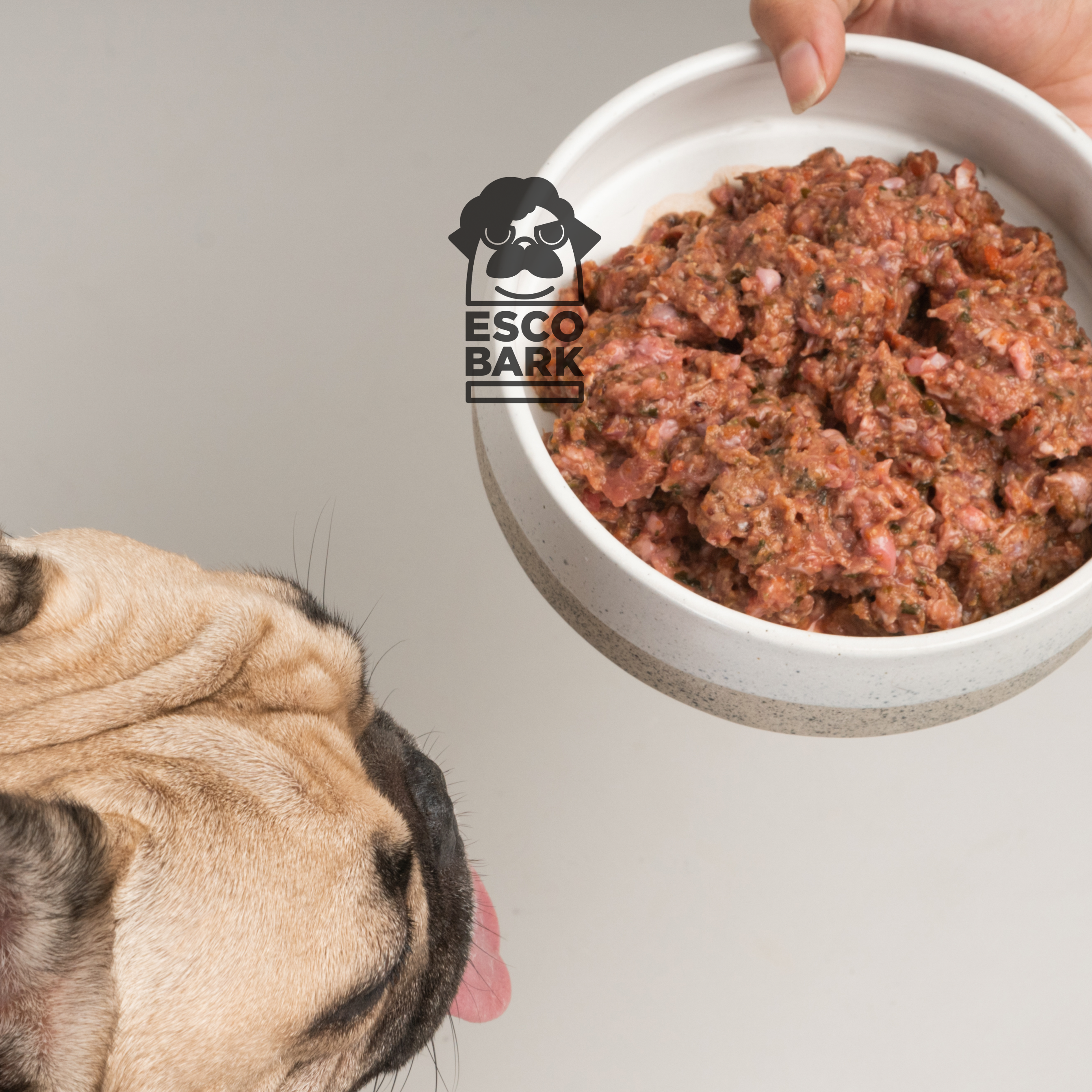 Raw Dog Food DUCK BEEF FISH