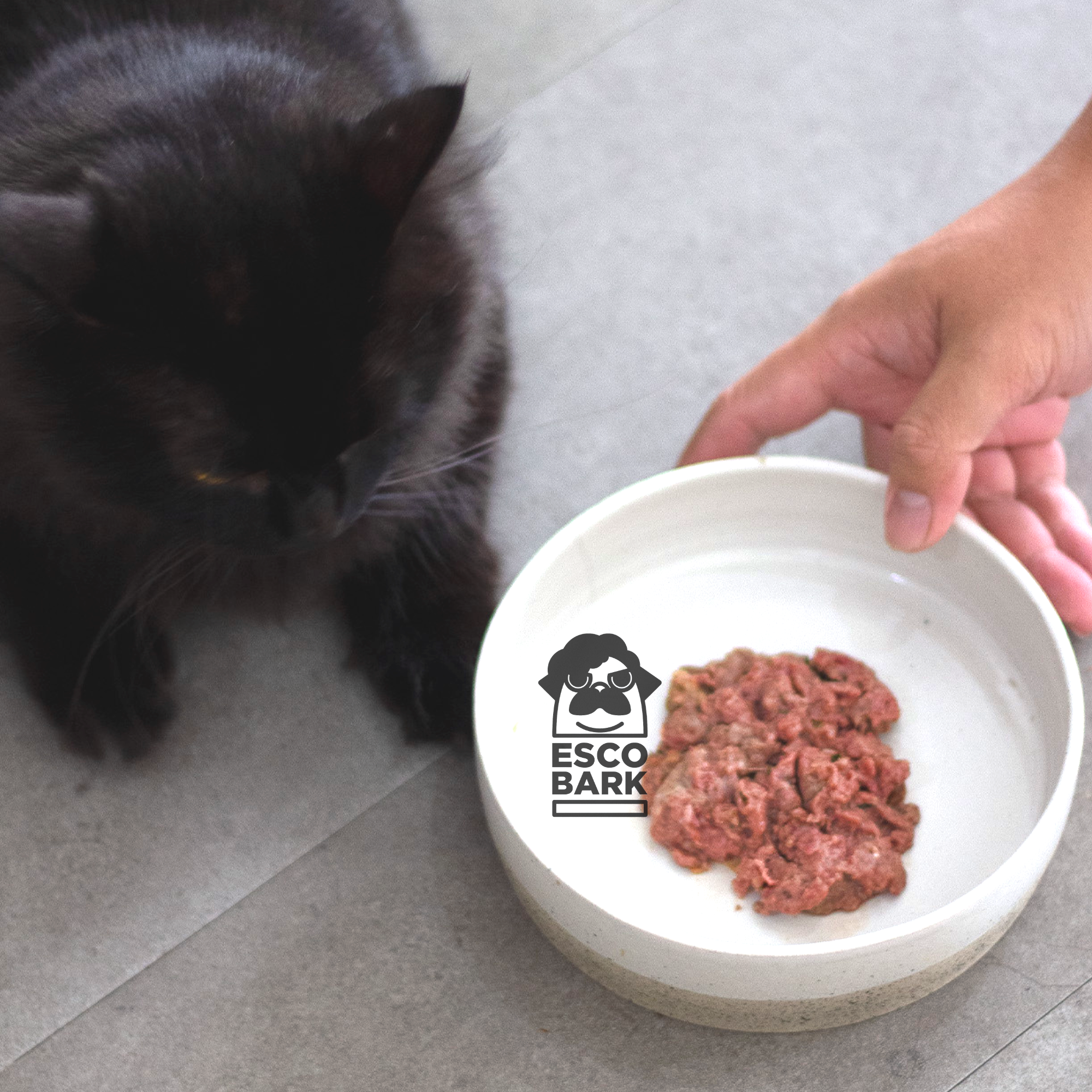 Raw Cat Food DUCK BEEF