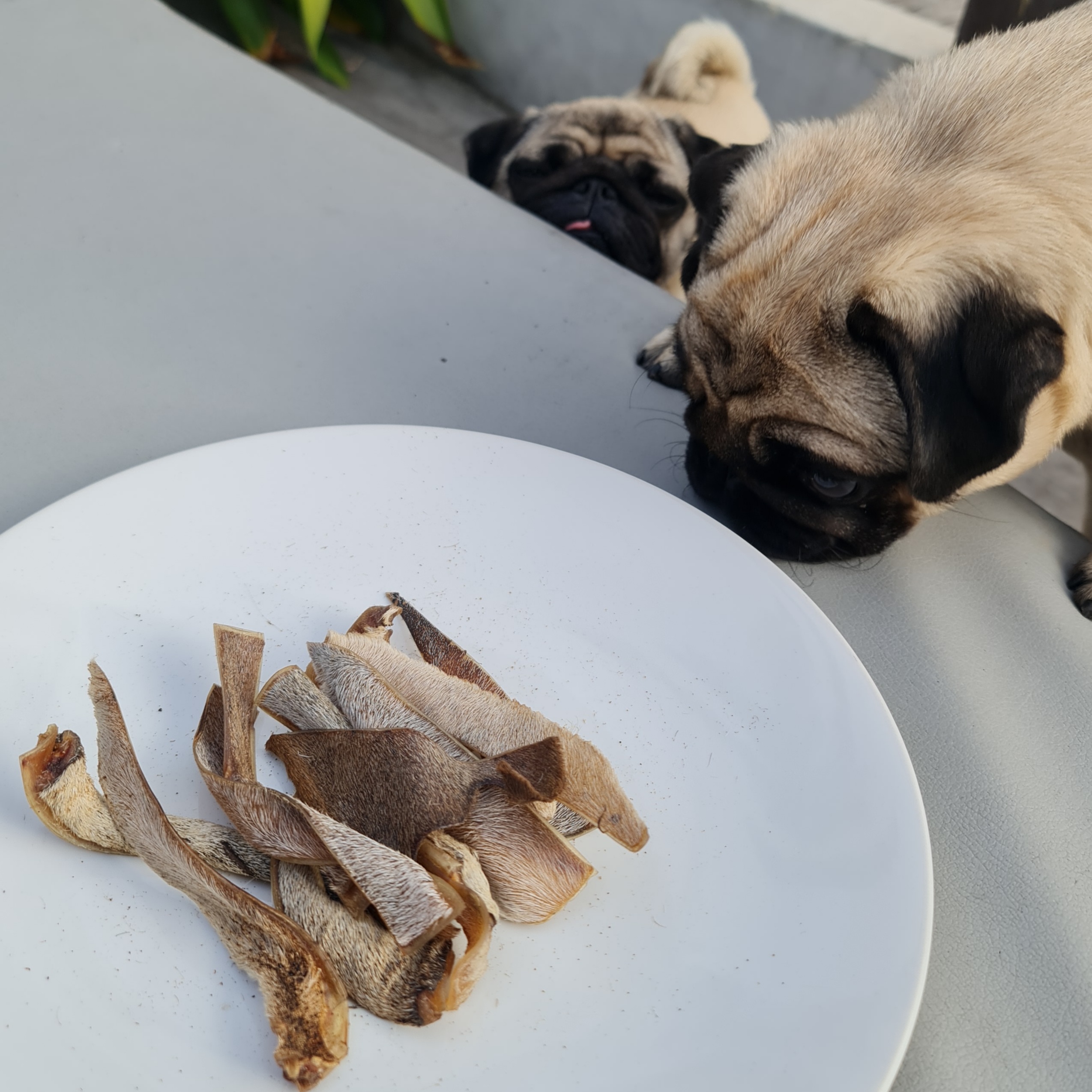 COW Ear Sliced Value 160g