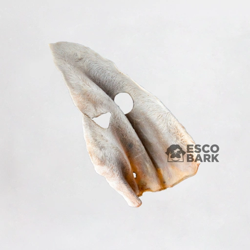Image of Whole COW Ear
