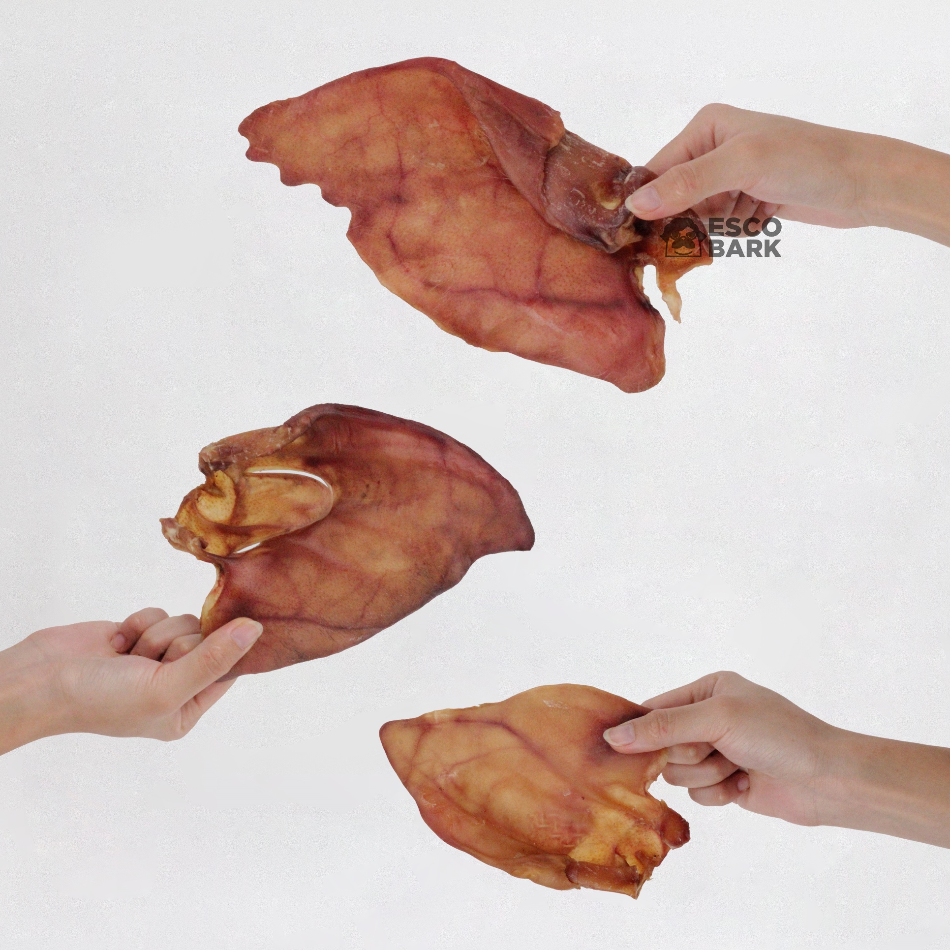 Whole PORK Ear