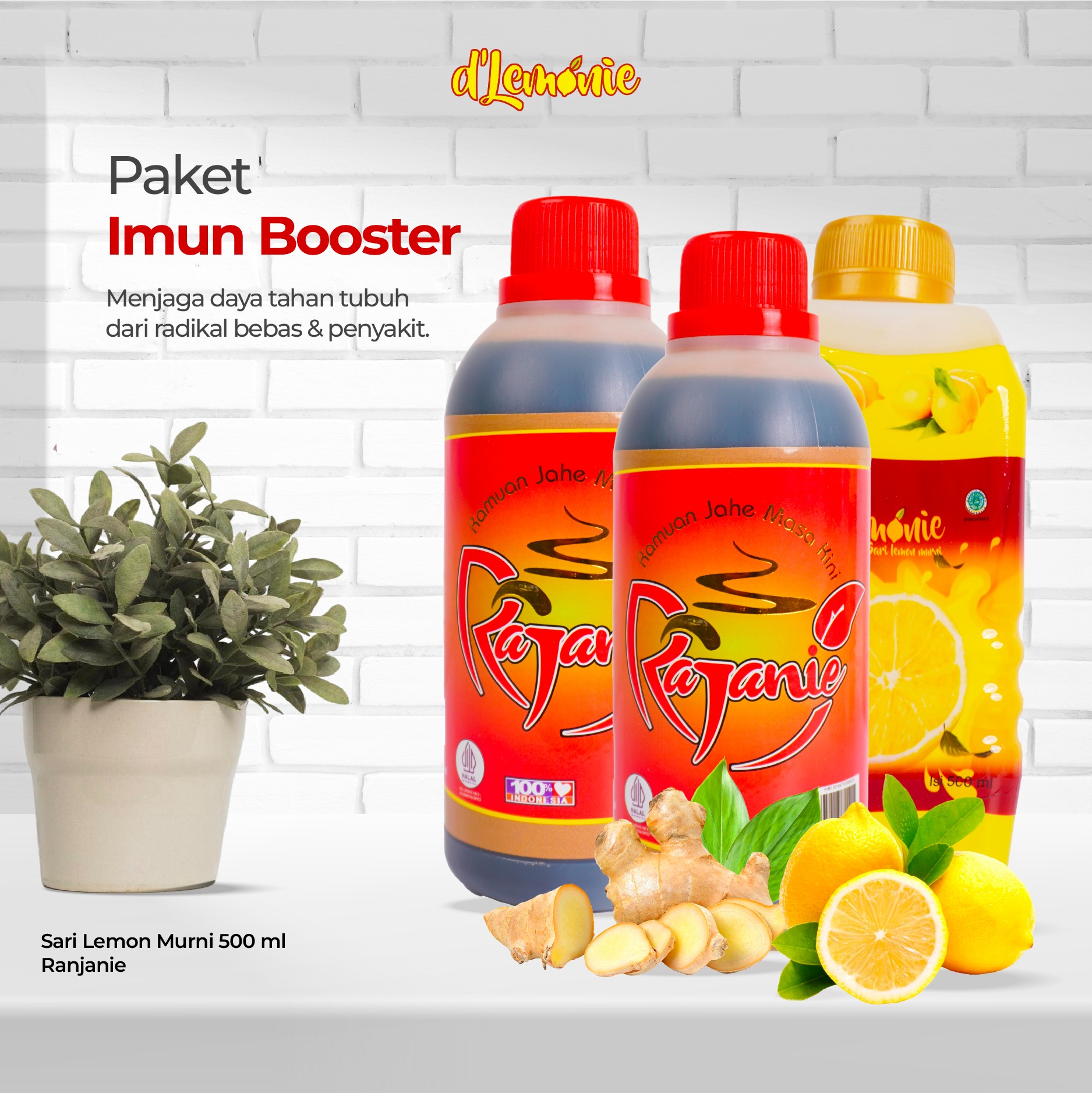 D'lemonie – Paket Imun Booster – Dlemonie + Rajanie 2 Botol – Bundling Herbal Alami