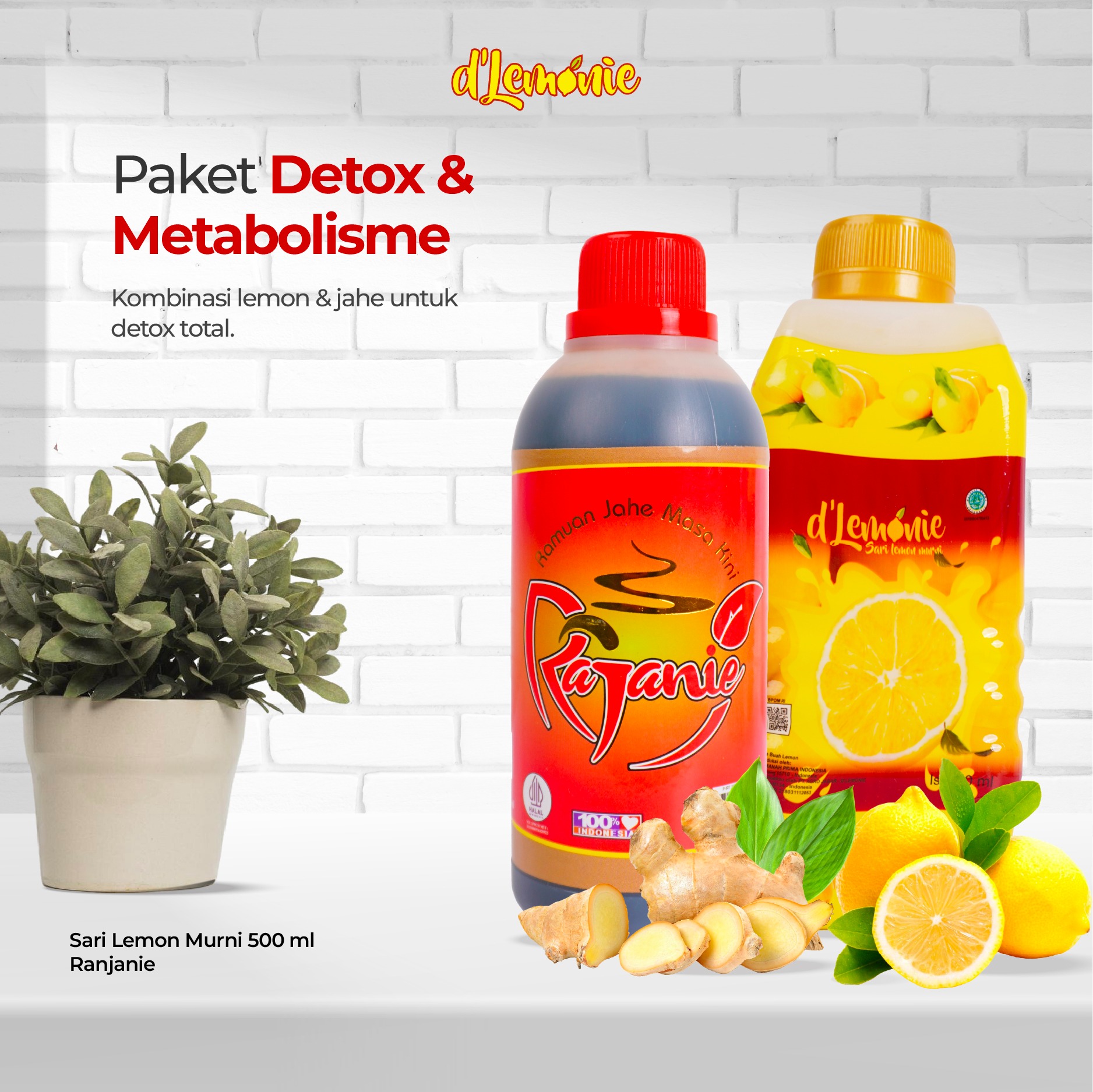 D'lemonie – Paket Detox & Metabolisme – Dlemonie + Rajanie – Bundling Herbal Alami