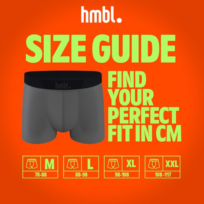 Celana Dalam Pria Micromodal Brief (Pack of 1)