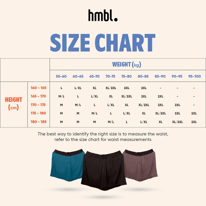 (PACK OF 6) hmbl Men MicroModal Brief
