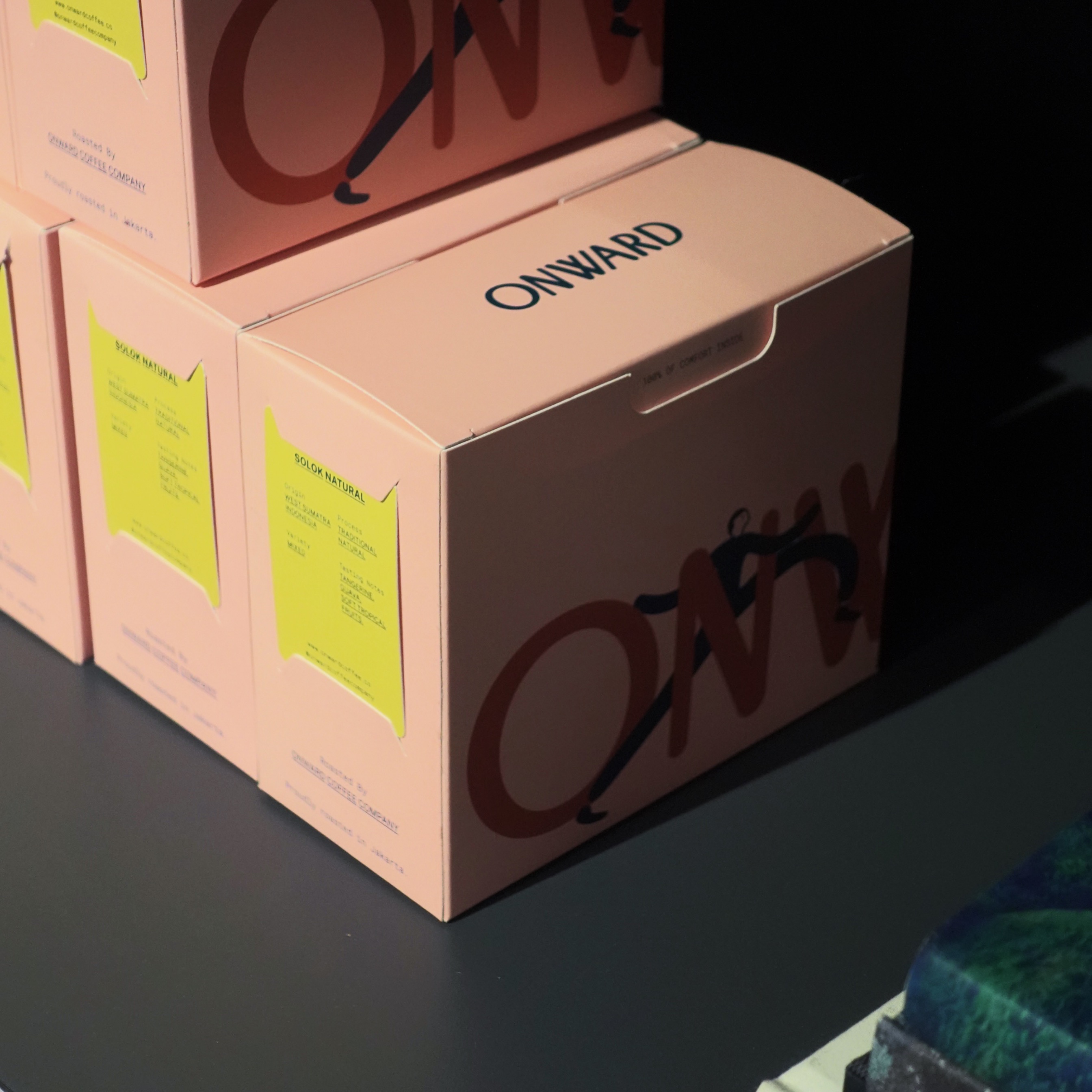 ONWARD ON THE GO - DRIP BAG