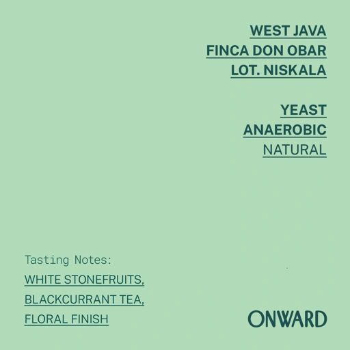 Image of West Java - Finca Don Obar Lot. Niskala - Yeast Anaerobic Natural
