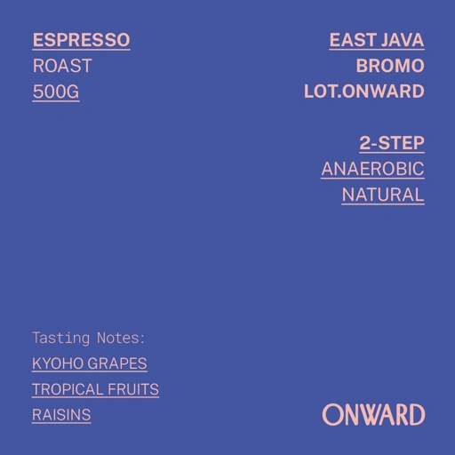 East Java - Bromo Lot. Onward 2-Step Anaerobic Natural