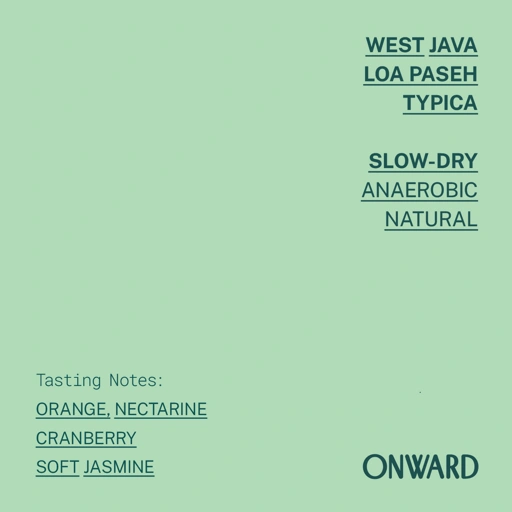 Image of West Java - Loa Paseh Typica Anaerobic Slow Dry
