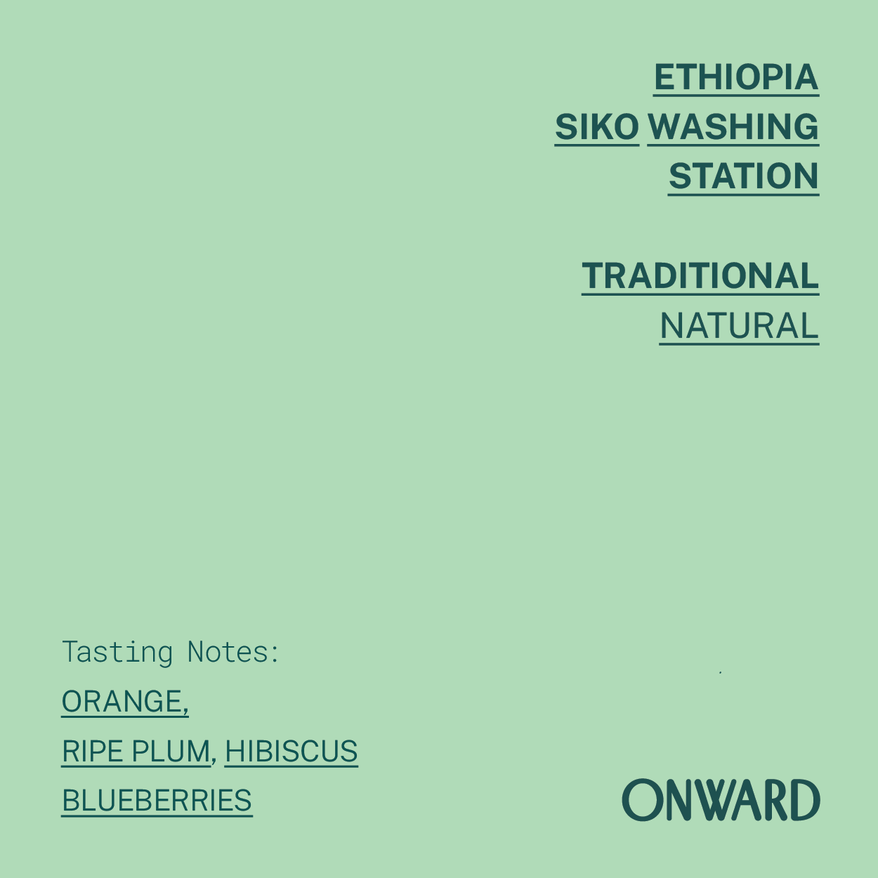 Ethiopia - Guji Siko - Traditional Natural
