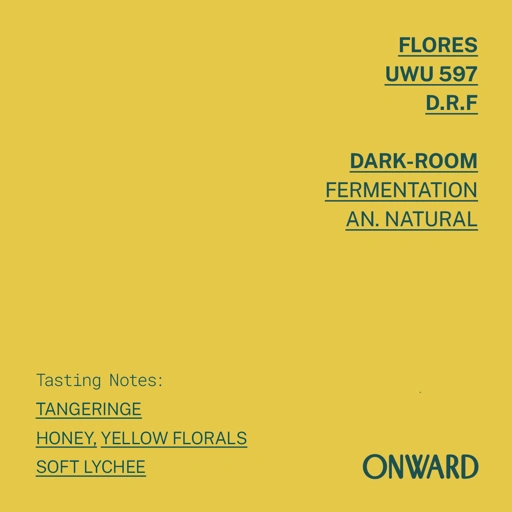 Image of Flores - Uwu Village #597 Dark Room Ferm. Natural