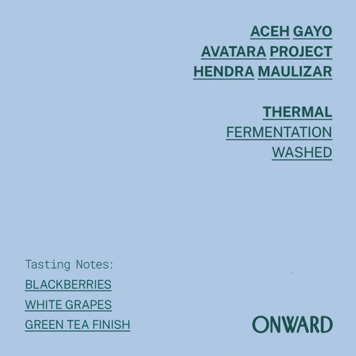 Image of Aceh Gayo - Avatara Hendra Maulizar - Thermal Fermentation Washed