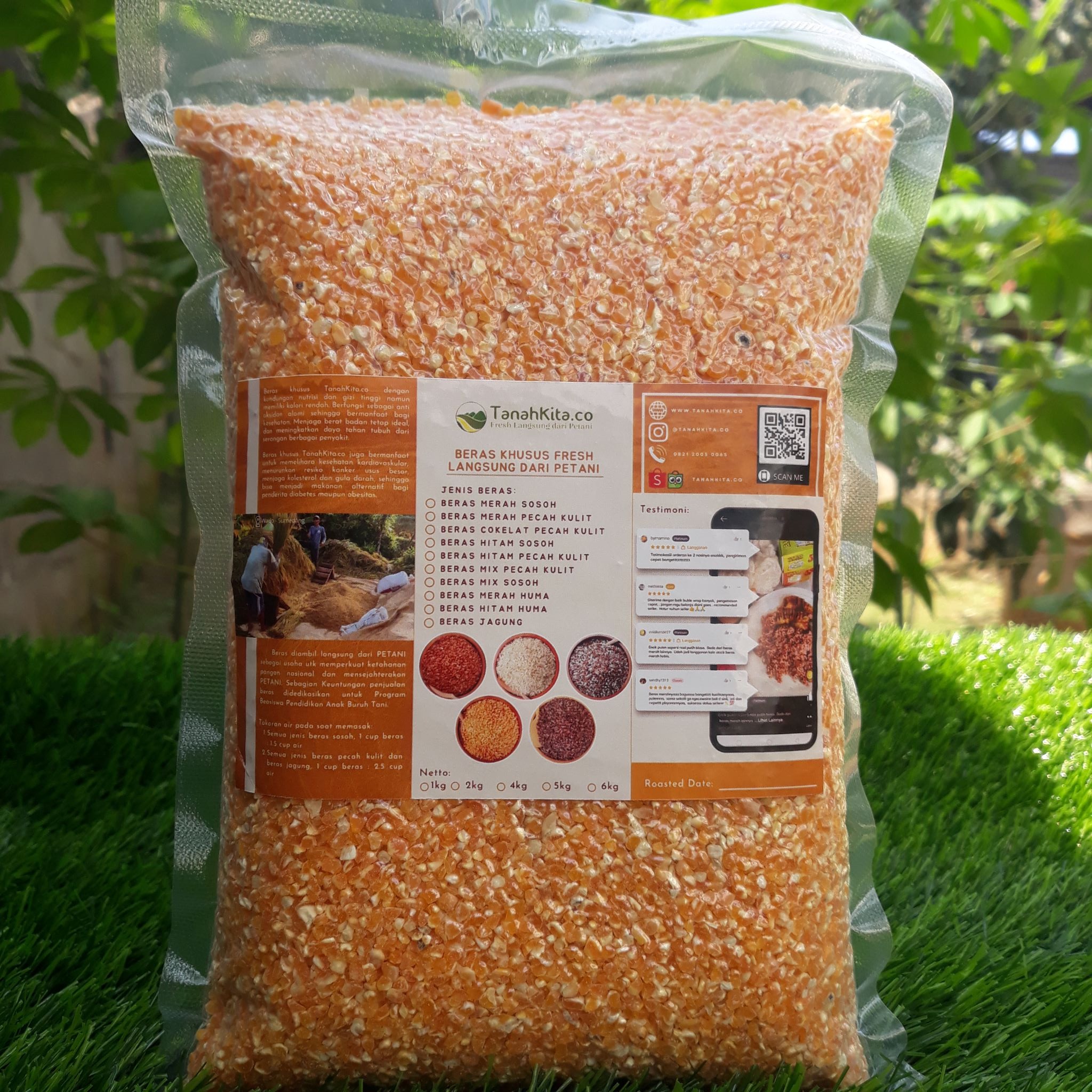Beras Jagung Tinggi Serat FRESH langsung dari Petani (500gram Vacuum)